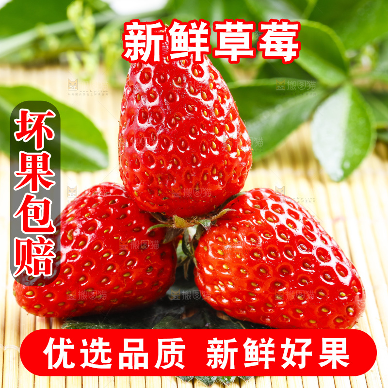 木底上放着丹东草莓
