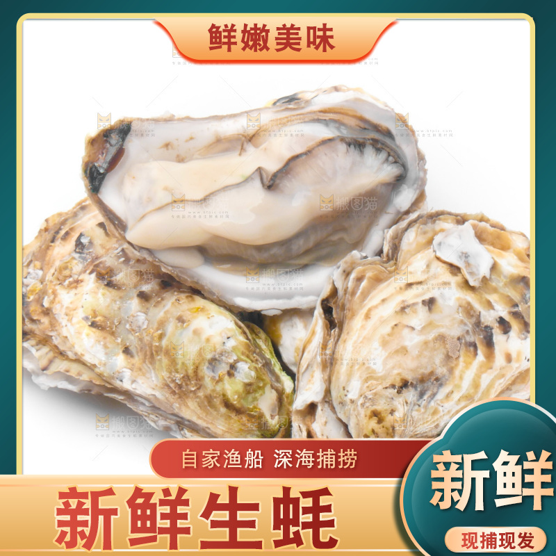 浅底上的生蚝