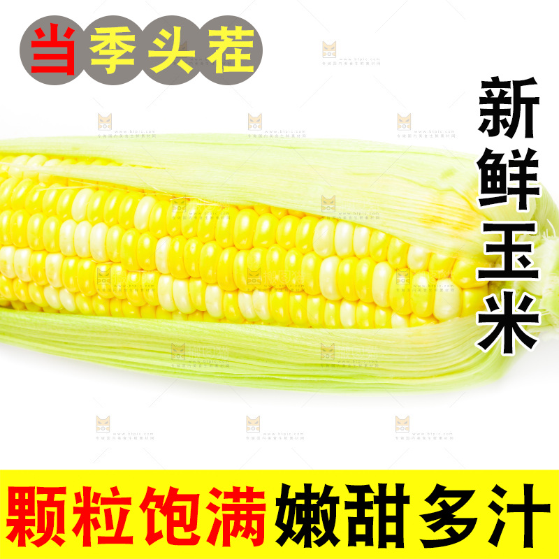 白底上放着新鲜玉米