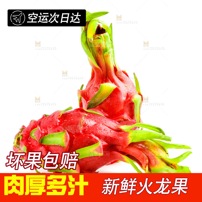 新鲜火龙果放在白底上