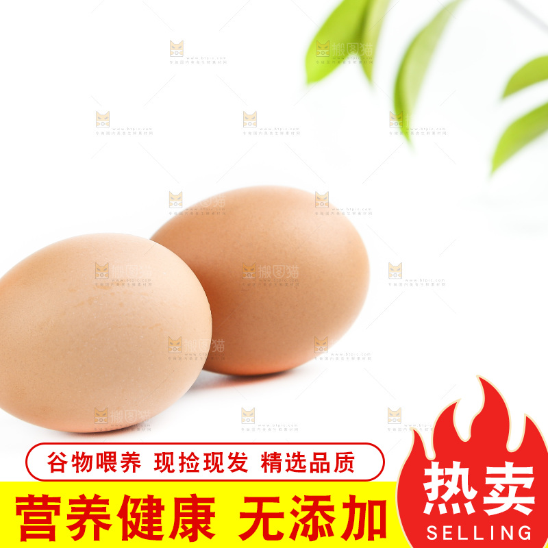 白底上的新鲜鸡蛋