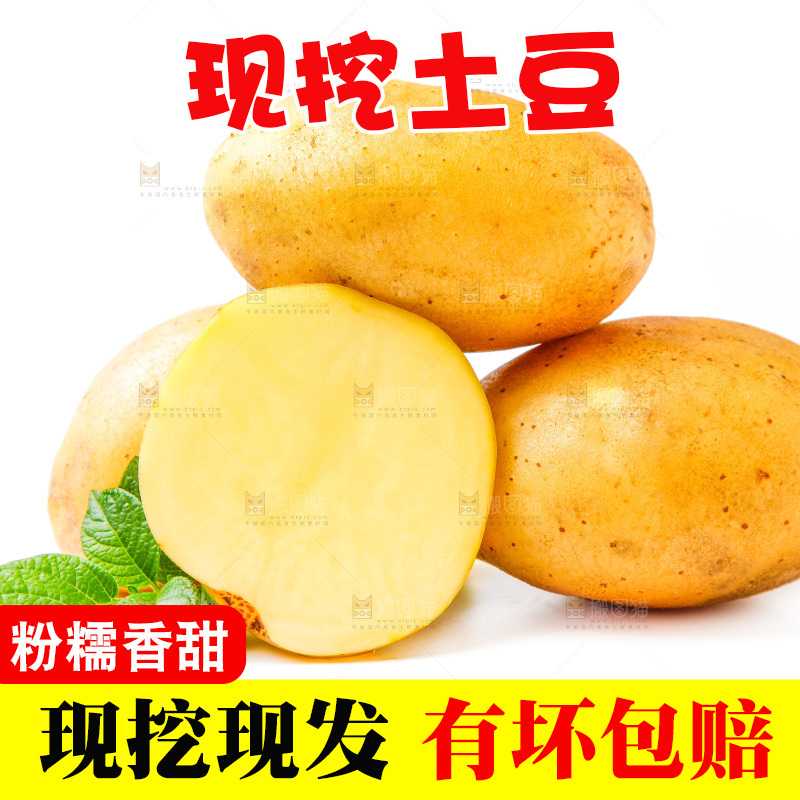 黄心土豆放在白底上