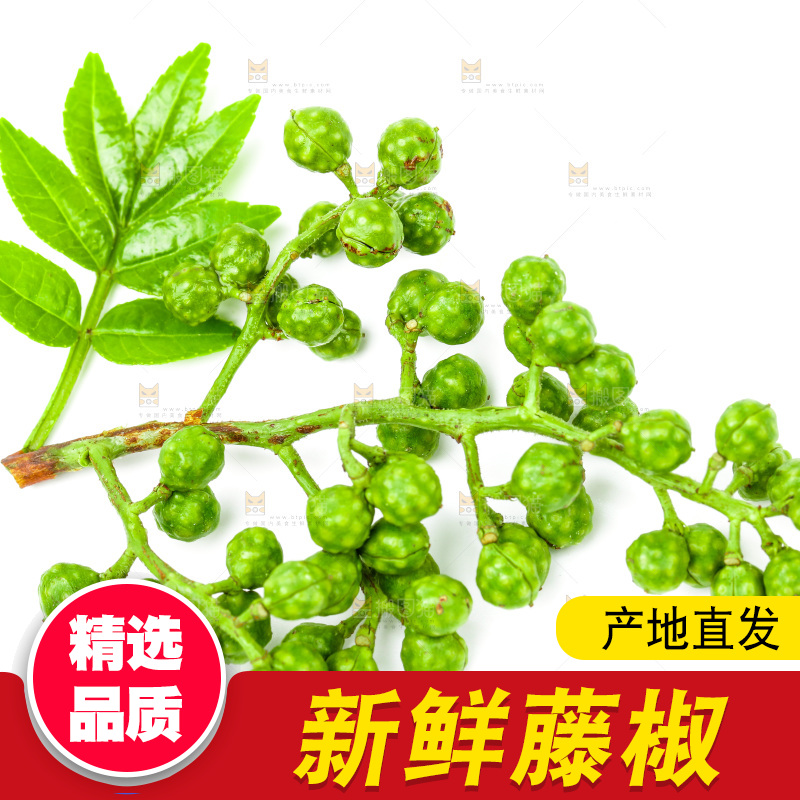 白底上的藤椒