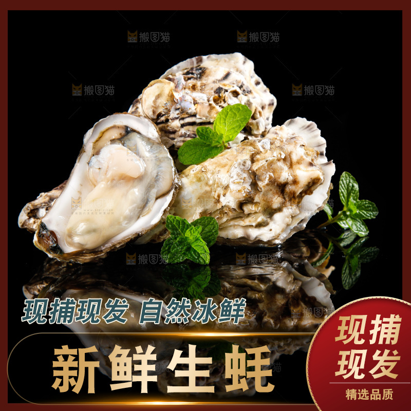 深底上放着牡蛎