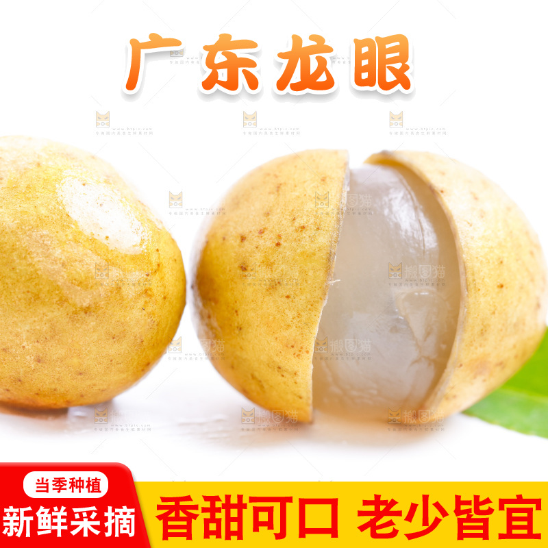 新鲜龙眼放在白底上