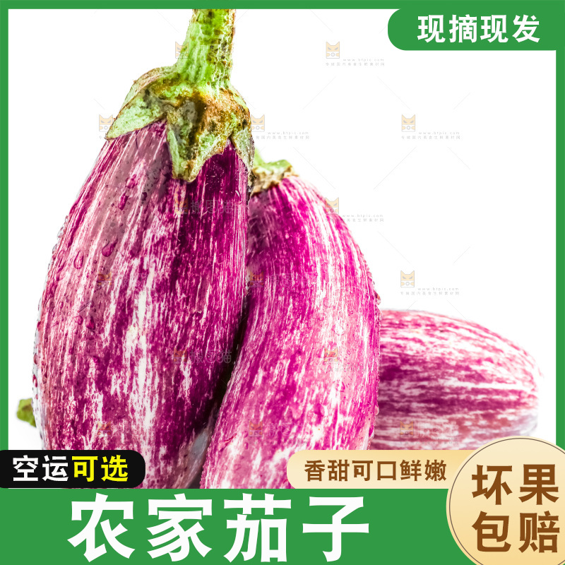 白底上的茄子