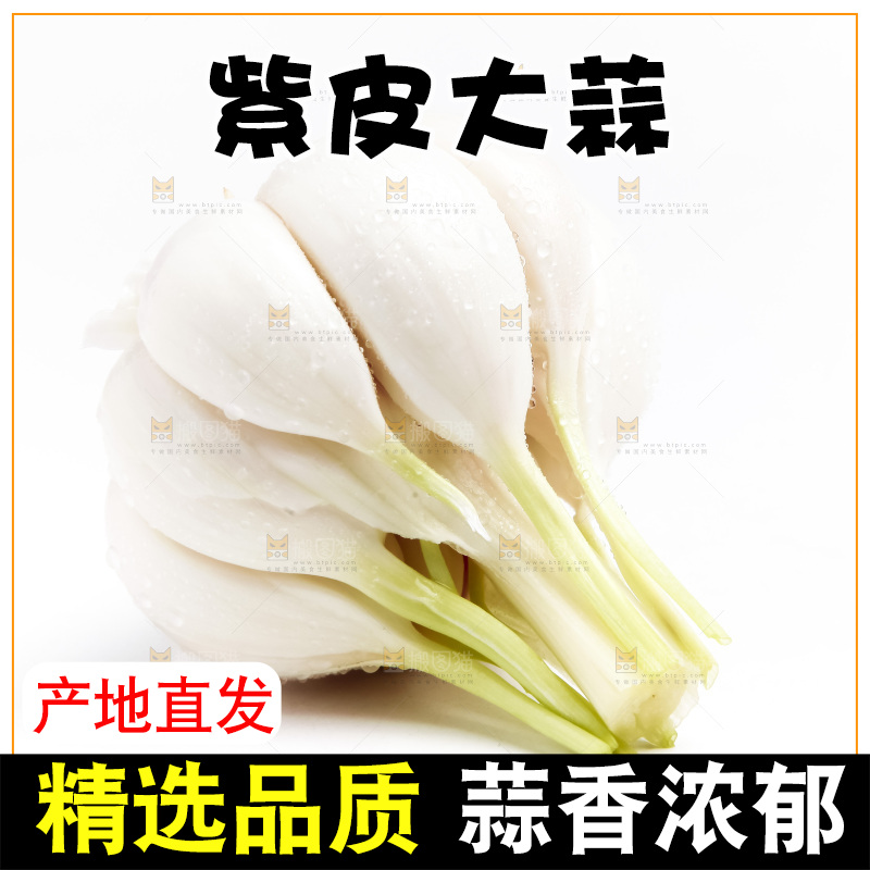 白底上放着新鲜大蒜