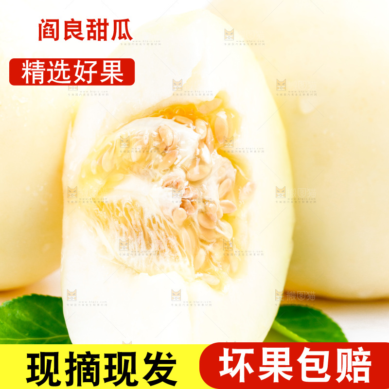 新鲜阎良甜瓜放在白底上