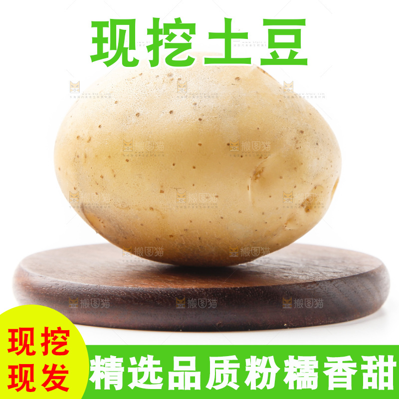 新鲜土豆放在白底上