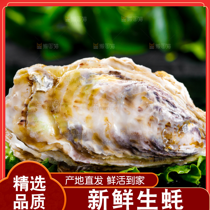 深底上放着牡蛎