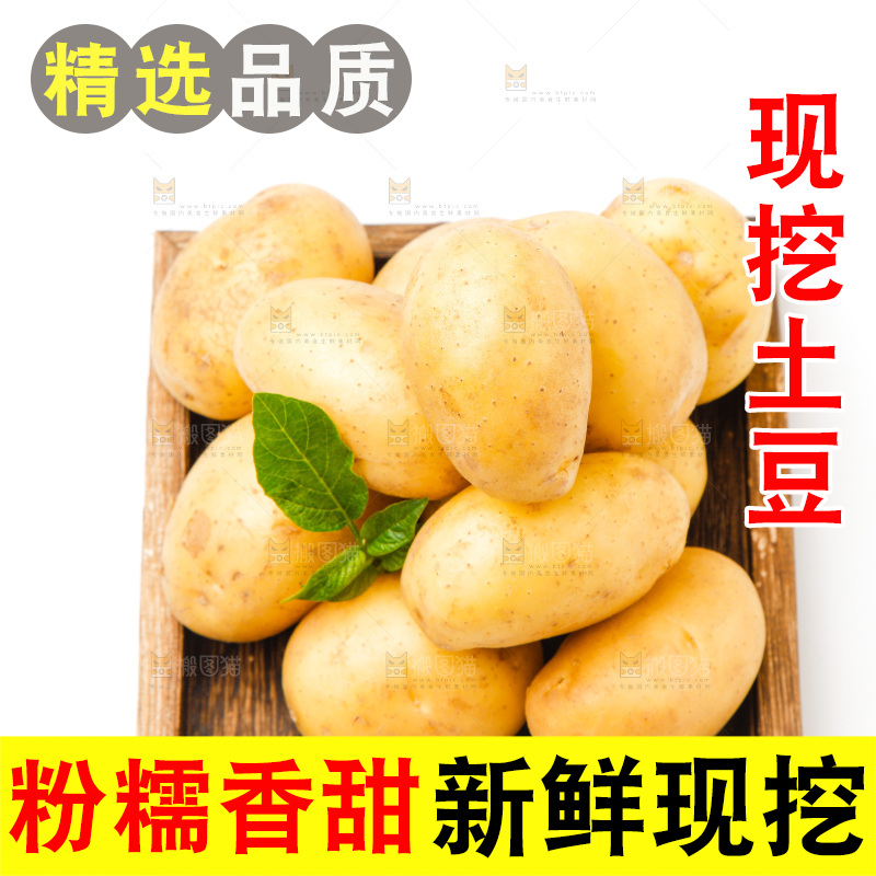 一盘新鲜土豆放在白底上