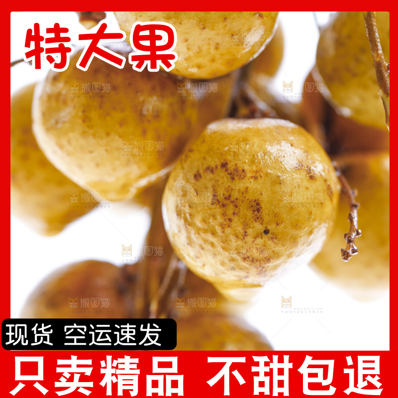 新鲜龙眼放在白底上