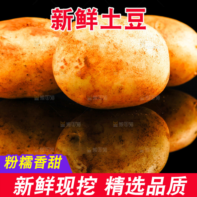 黑底上放着黄心土豆