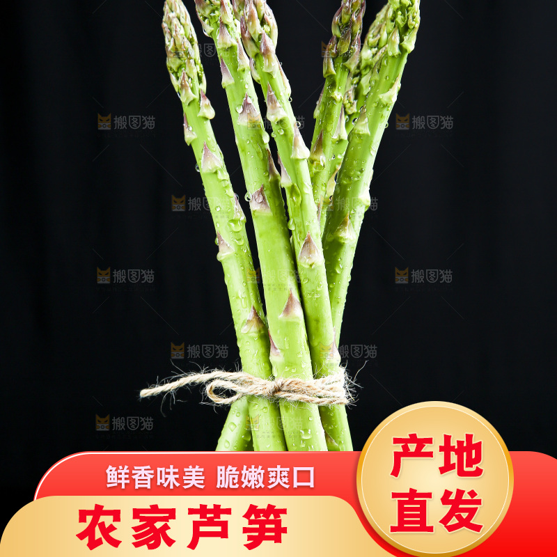 黑底上的青芦笋