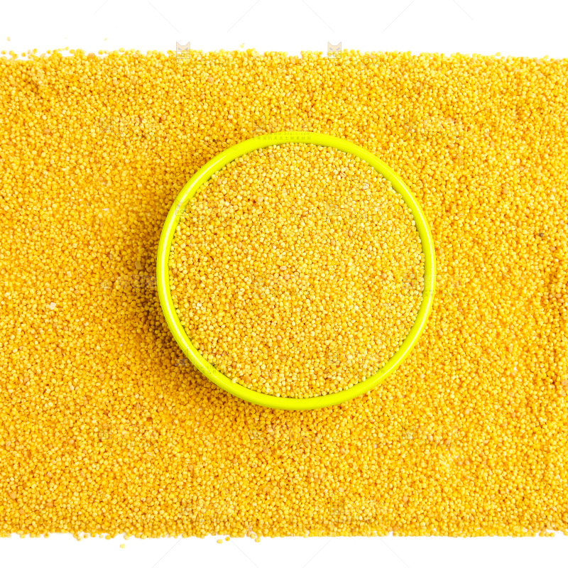 白底上放着新鲜黄小米