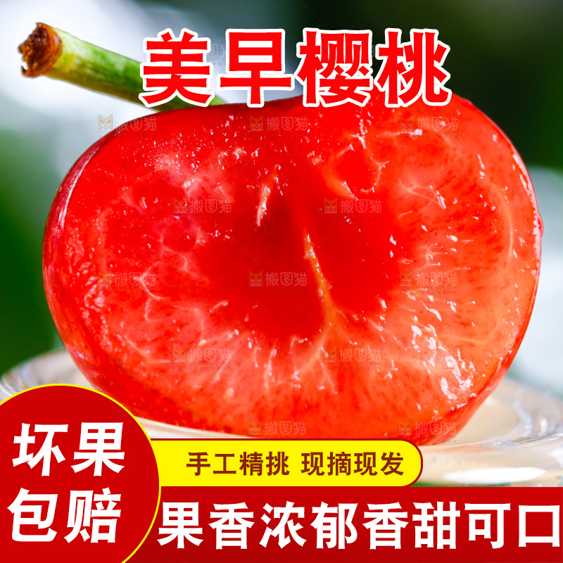 新鲜樱桃放在浅底上