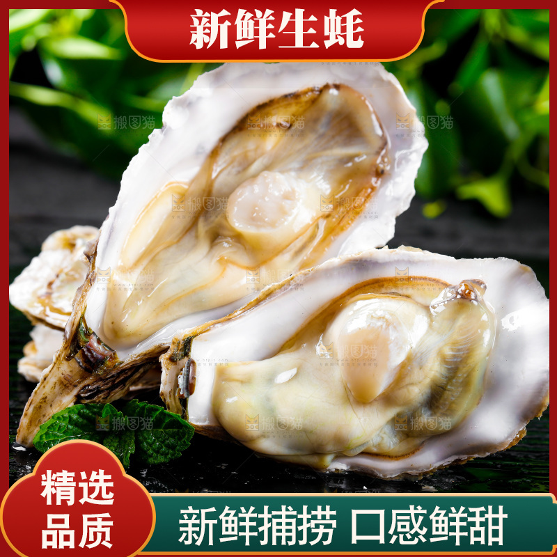 深底上放着牡蛎