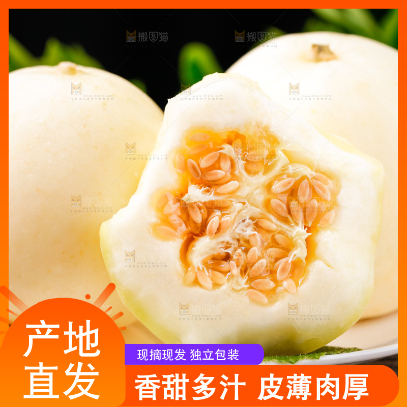 木底上的阎良甜瓜