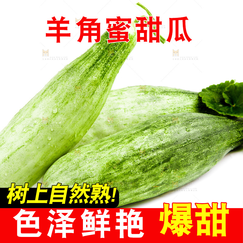 白底上的山东羊角蜜甜瓜