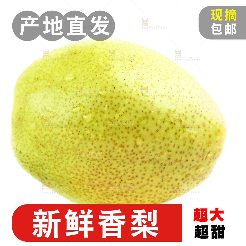 白底上的香梨