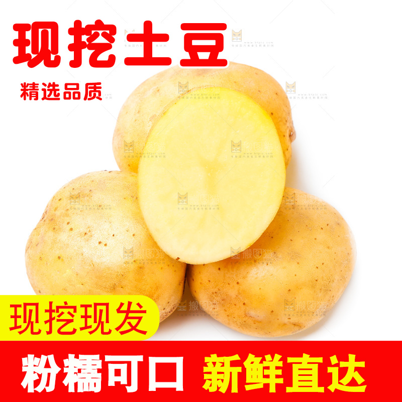 白底上的土豆