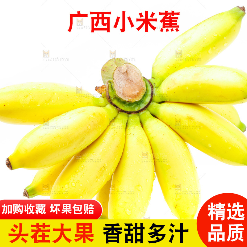 白底上放着新鲜小米蕉