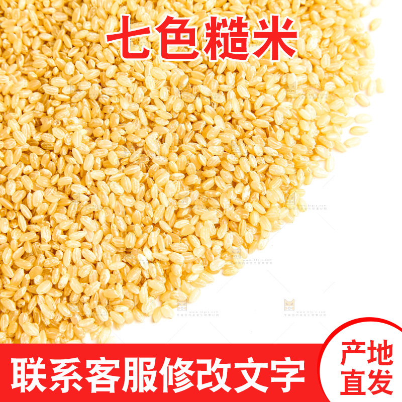 东北糙米放在白底上