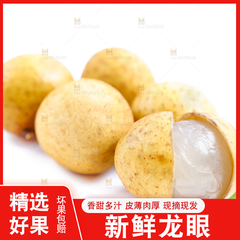 新鲜龙眼放在白底上