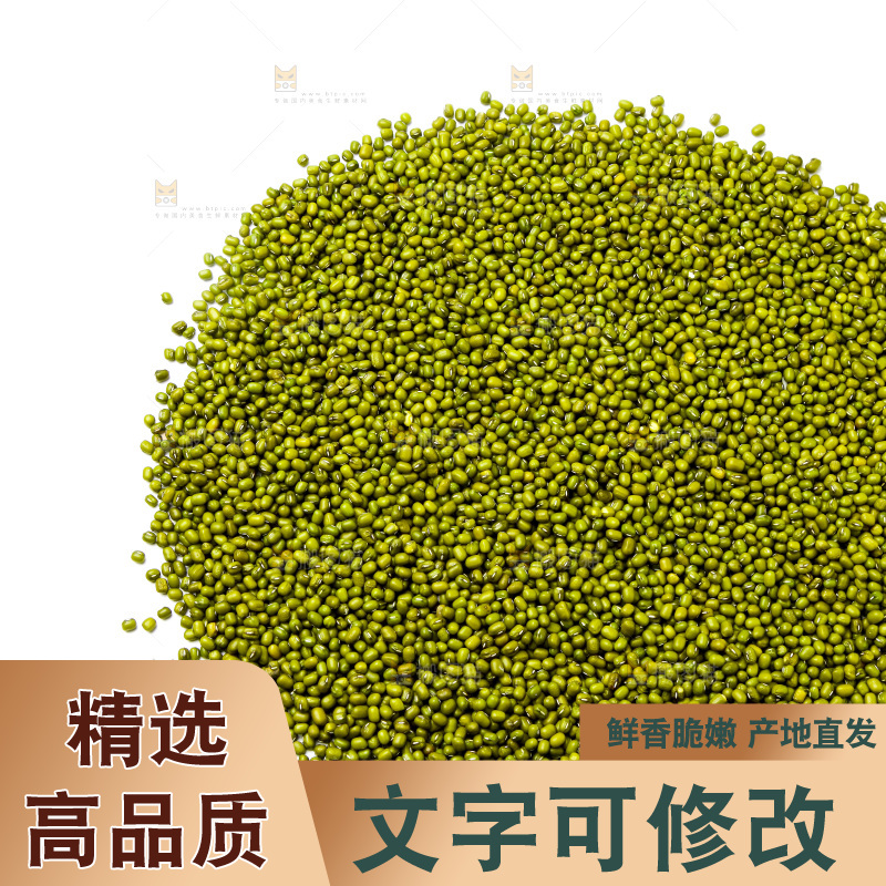 新鲜绿豆放在白底上