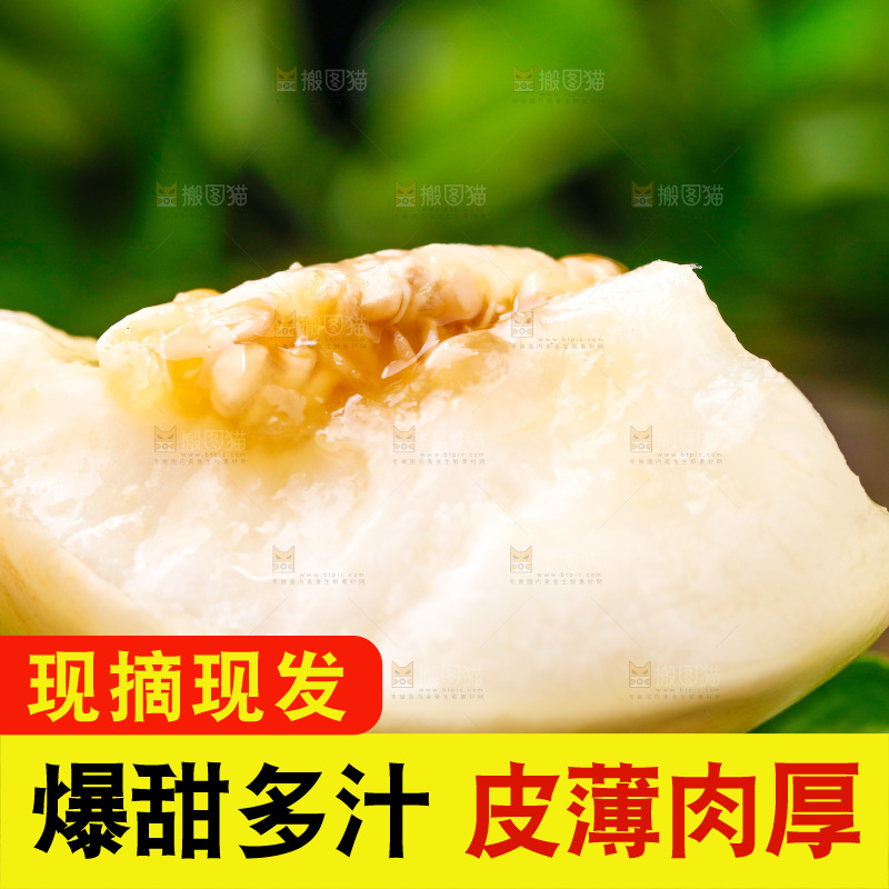 新鲜阎良甜瓜放在木底上