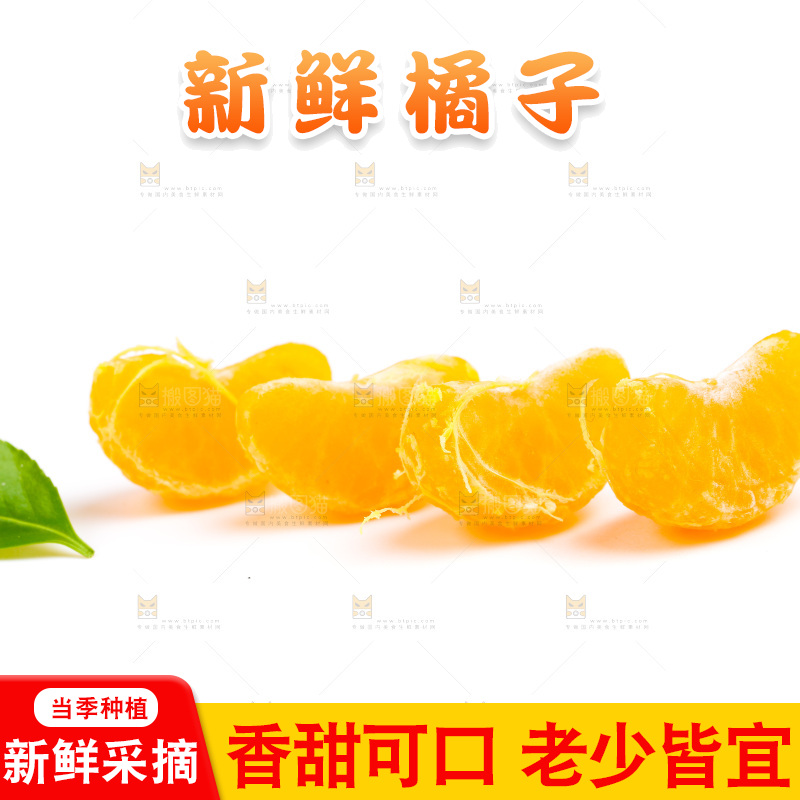 新鲜橘子放在白底上