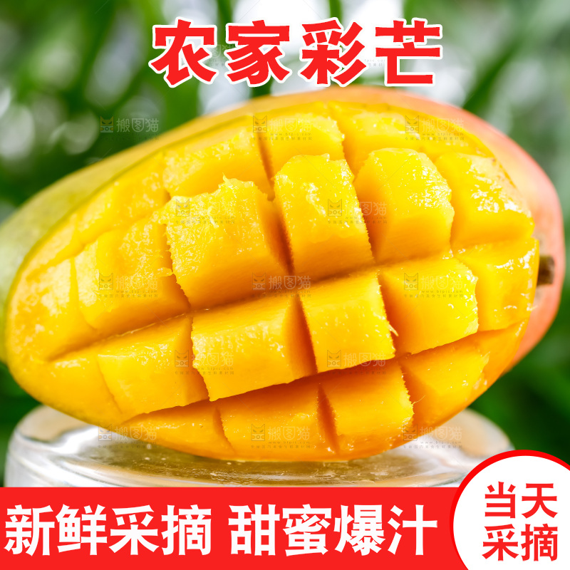 浅底上的彩芒