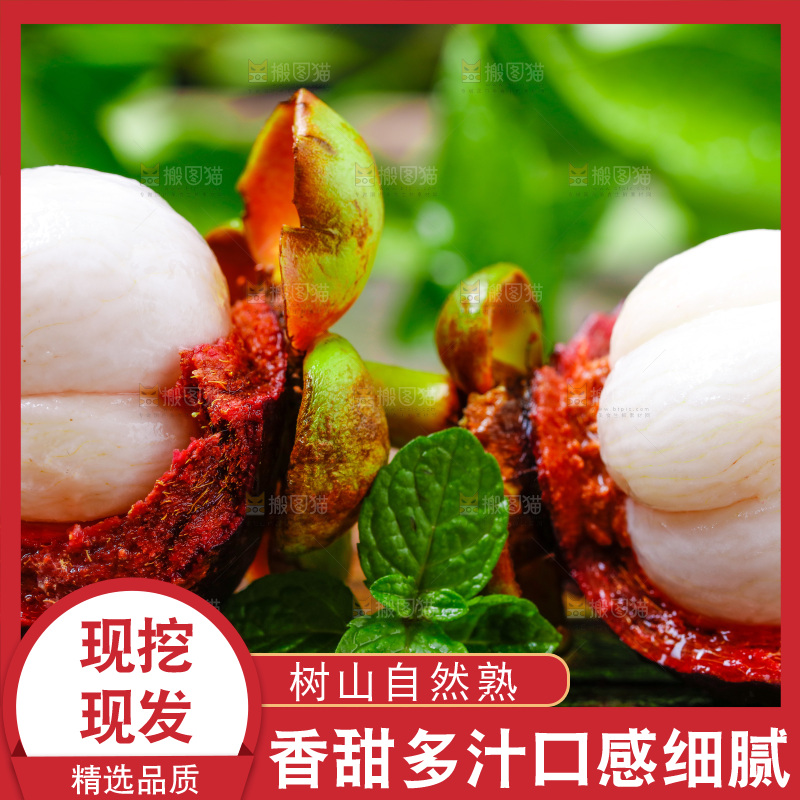 木底上的新鲜山竹