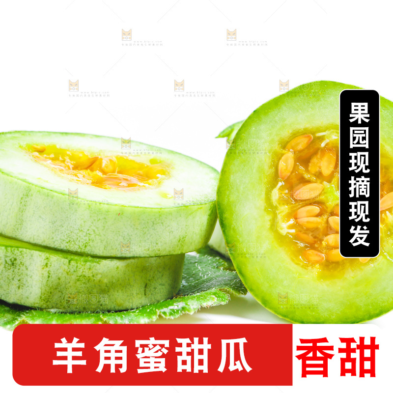 新鲜羊角蜜放在白底上