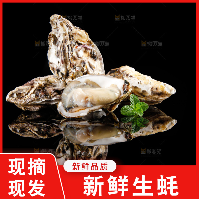 黑底上放着海蛎子