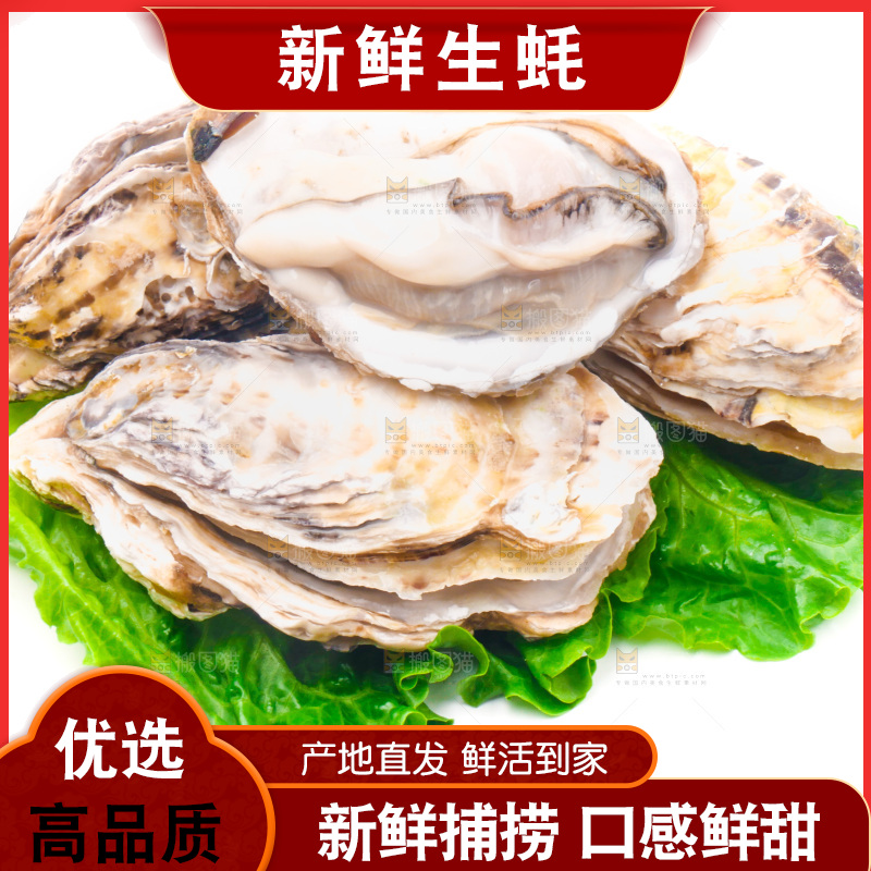 白底上放着乳山生蚝