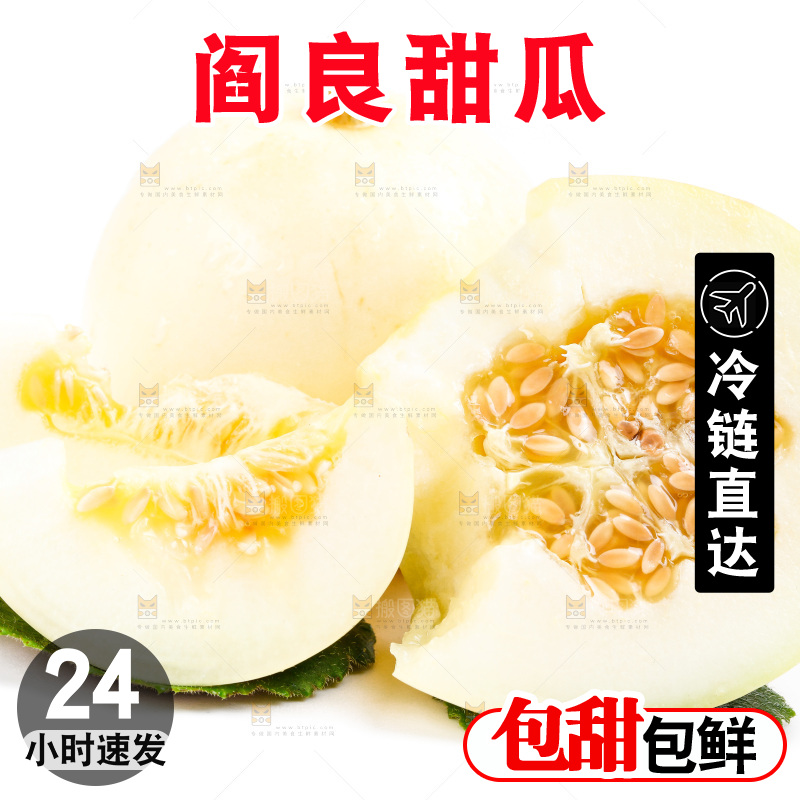 新鲜阎良甜瓜放在白底上