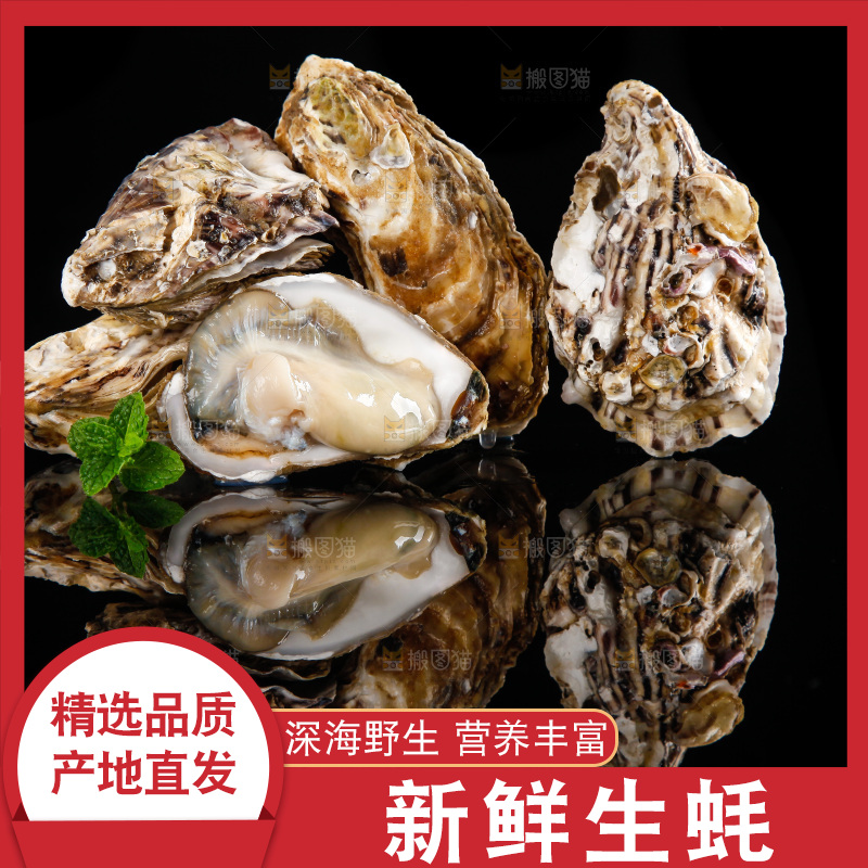 黑底上放着海蛎子