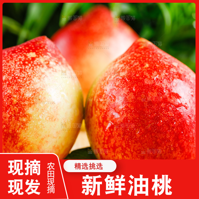 木底上放着陕西新鲜油桃