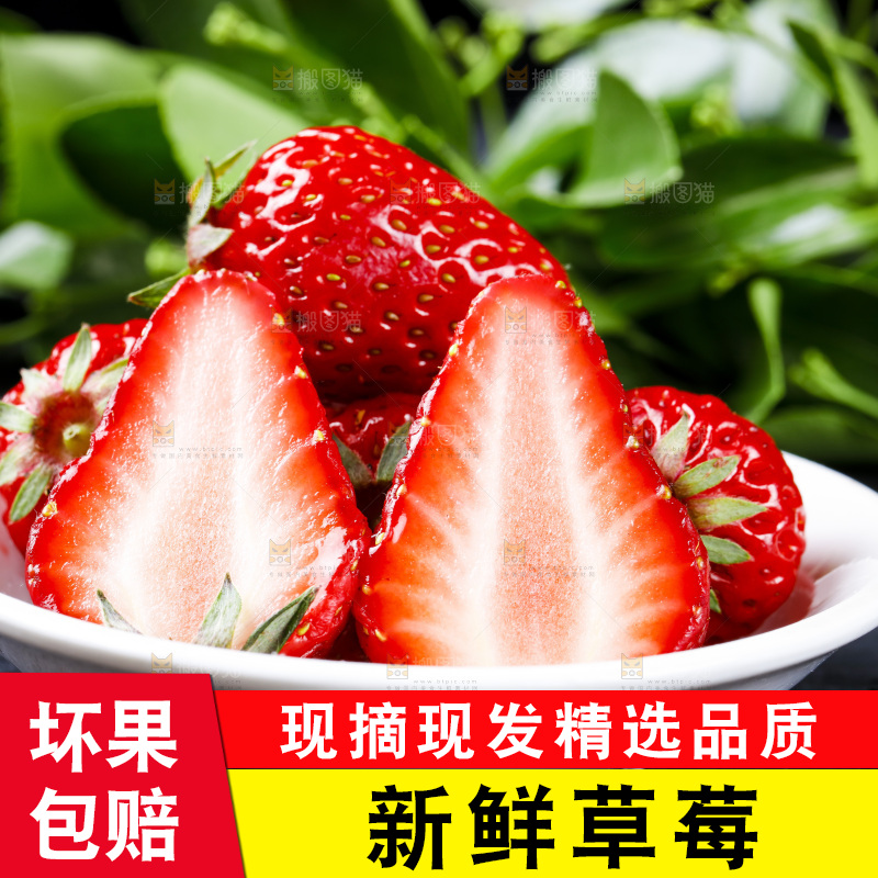 丹东草莓放在深底上