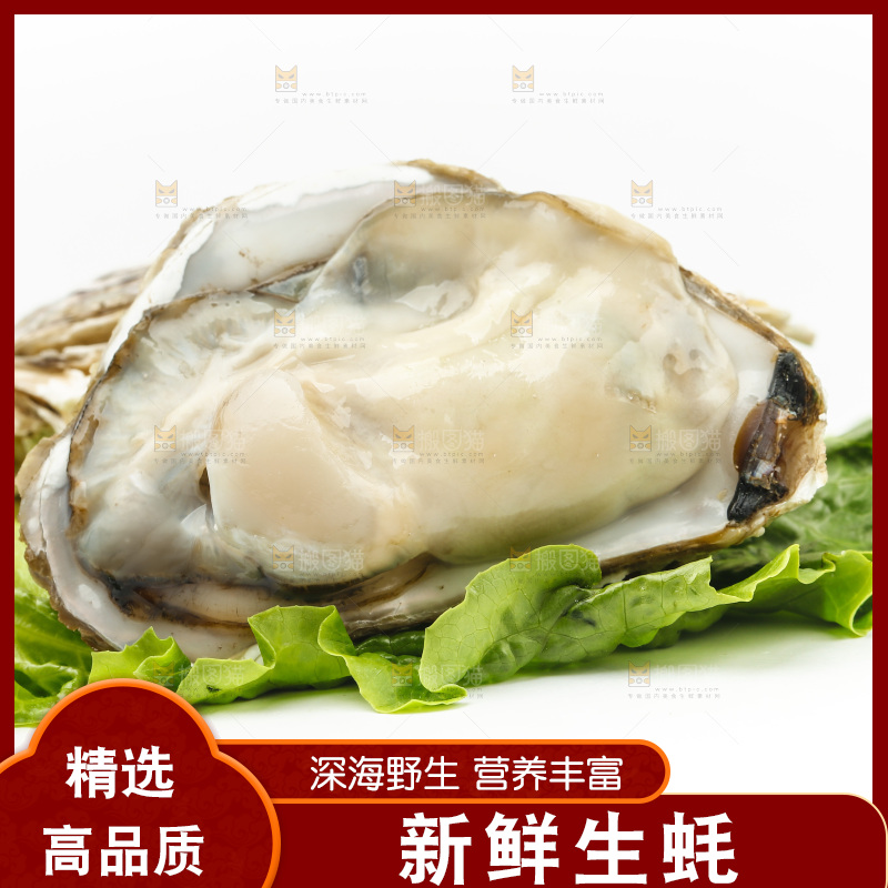 白底上的生蚝