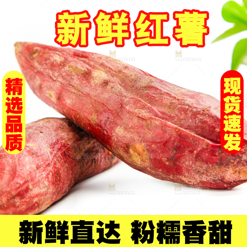 白底上的红薯
