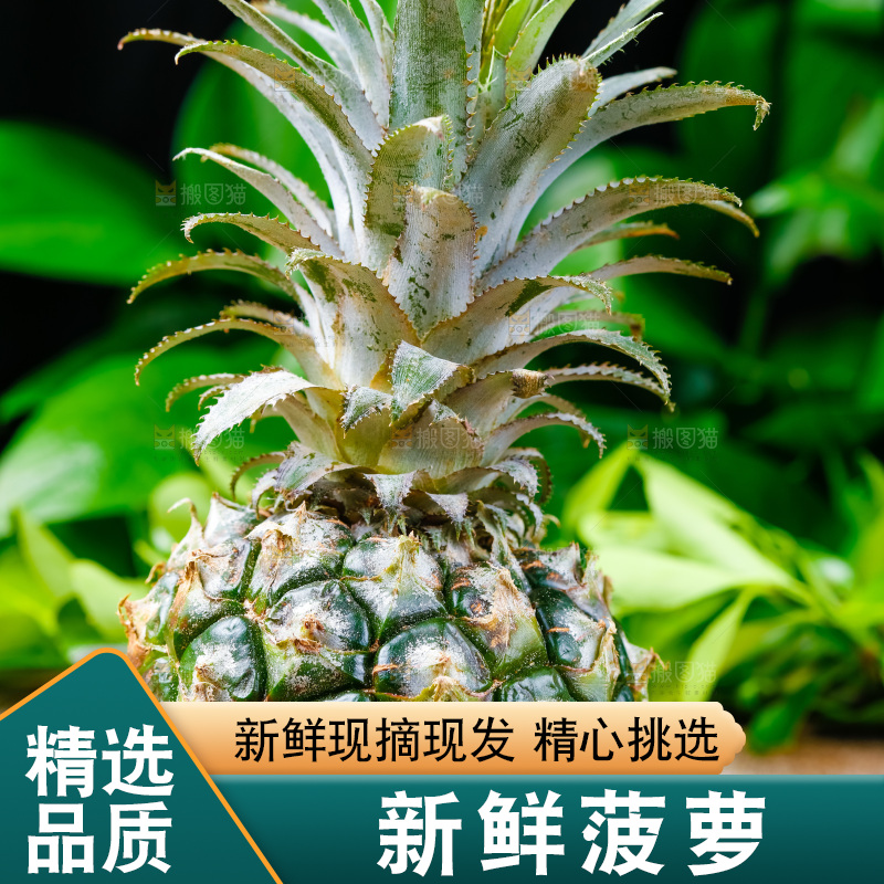 香水小菠萝放在木底上