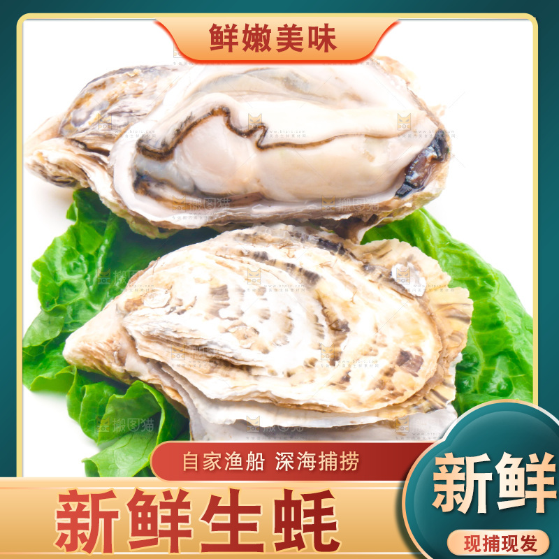 白底上放着乳山生蚝