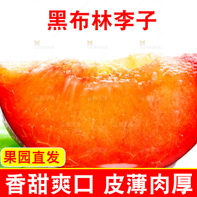 白底上的黑布林