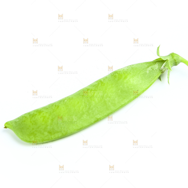 白底上的豌豆荚