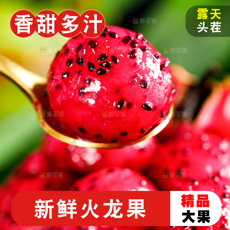 勺子里装着红心火龙果