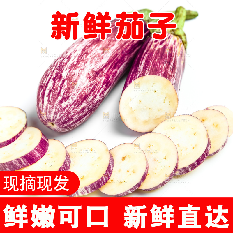 新鲜茄子放在白底上
