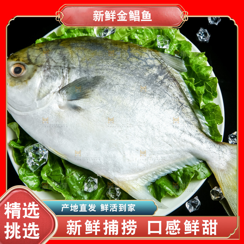 黑底上放着一盘金鲳鱼