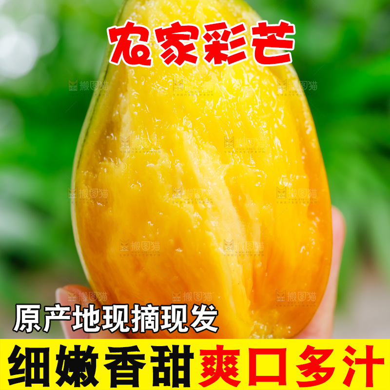 手拿新鲜彩芒